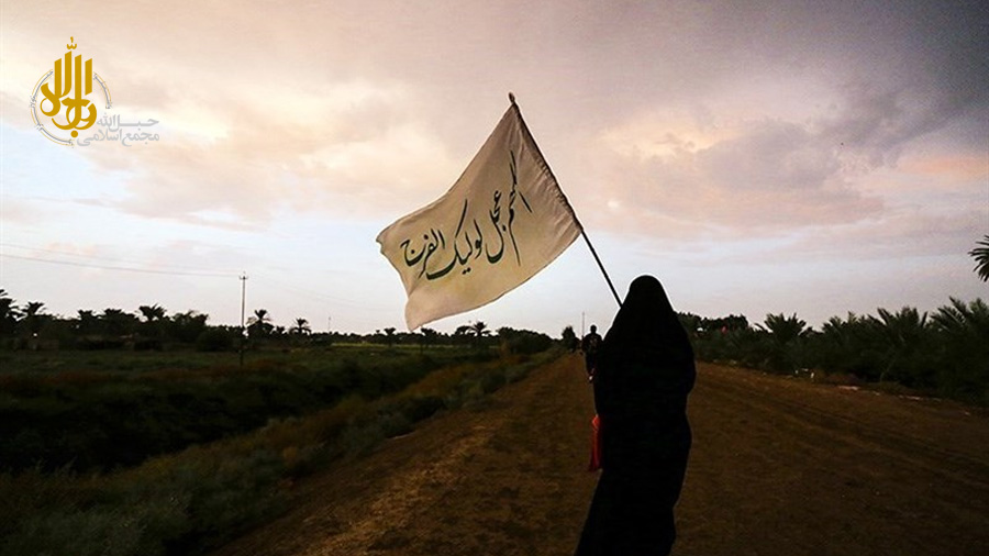 «إنّی سلم لمن سالمکم» را در اربعین فهمیدم...